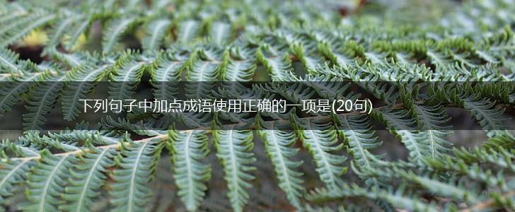 下列句子中加点成语使用正确的一项是(20句),第1张