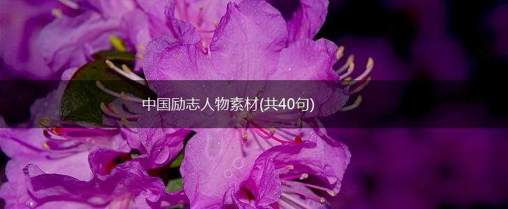 中国励志人物素材(共40句),第1张