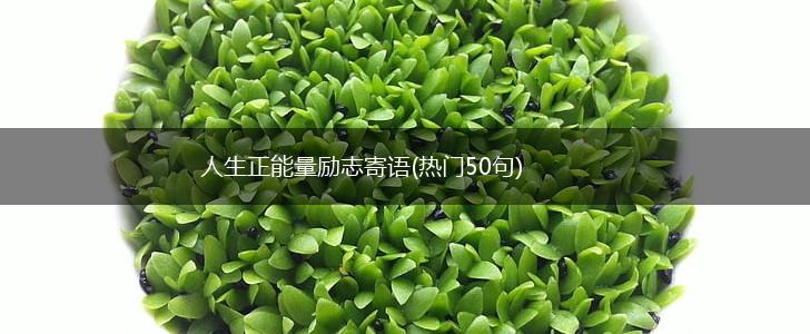 人生正能量励志寄语(热门50句),第1张