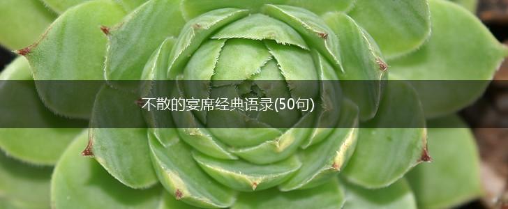 不散的宴席经典语录(50句),第1张