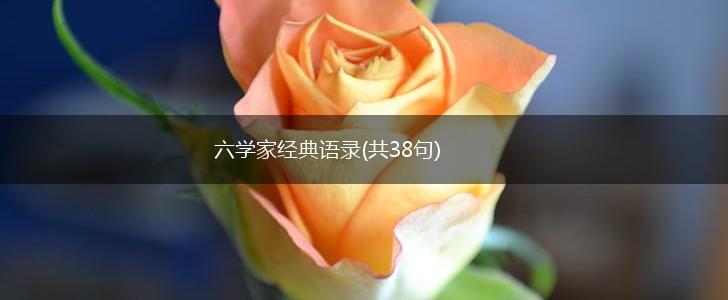 六学家经典语录(共38句),第1张