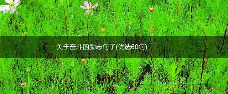 关于奋斗的励志句子(优选60句),第1张
