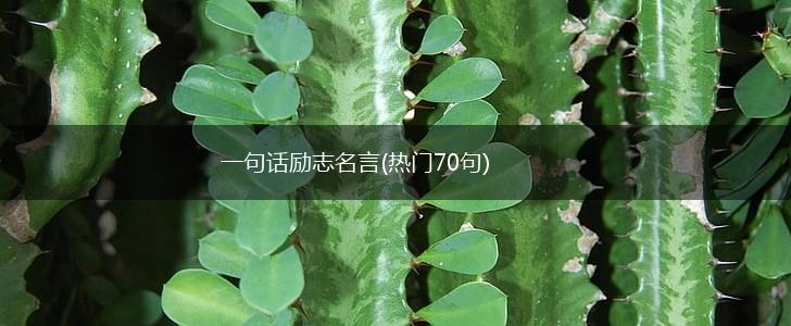 一句话励志名言(热门70句),第1张