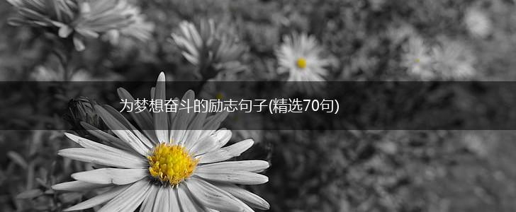 为梦想奋斗的励志句子(精选70句),第1张