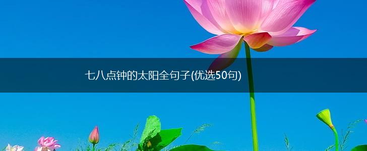 七八点钟的太阳全句子(优选50句),第1张