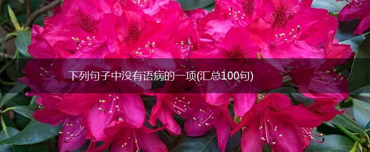 下列句子中没有语病的一项(汇总100句),第1张