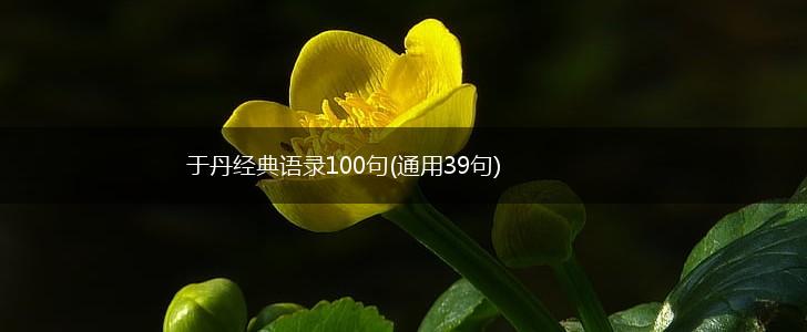 于丹经典语录100句(通用39句),第1张