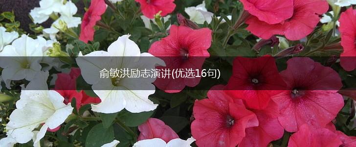 俞敏洪励志演讲(优选16句),第1张