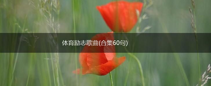 体育励志歌曲(合集60句),第1张