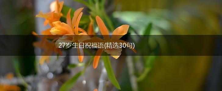 27岁生日祝福语(精选30句),第1张