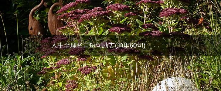 人生至理名言短句励志(通用60句),第1张