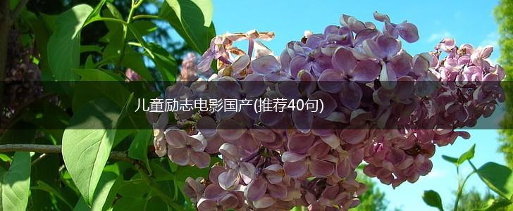 儿童励志电影国产(推荐40句),第1张