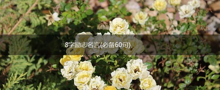 8字励志名言(必备60句),第1张