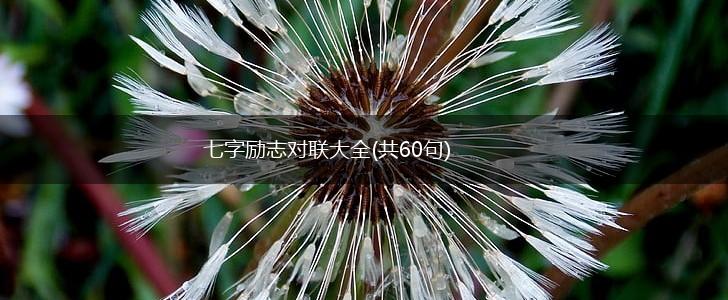 七字励志对联大全(共60句),第1张