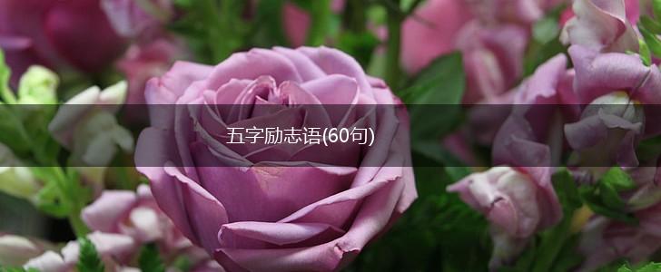 五字励志语(60句),第1张