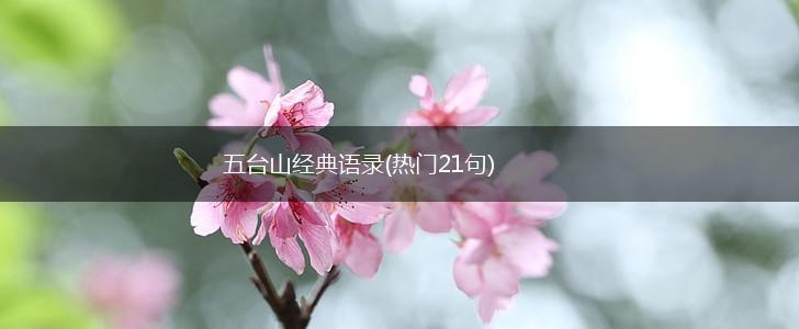 五台山经典语录(热门21句),第1张