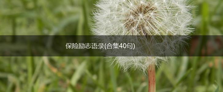 保险励志语录(合集40句),第1张