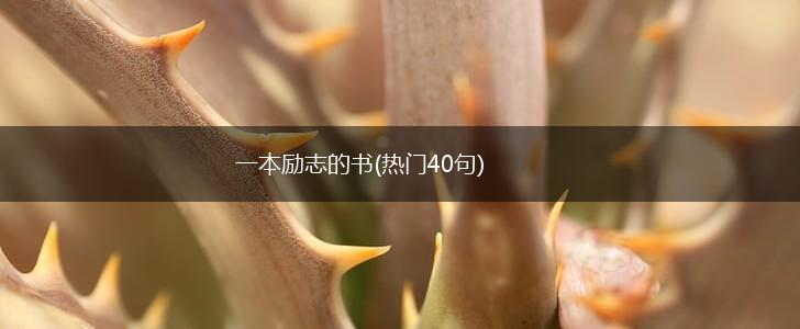 一本励志的书(热门40句),第1张