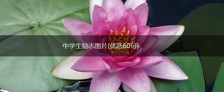 中学生励志图片(优选60句),第1张