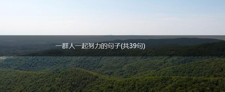 一群人一起努力的句子(共39句),第1张