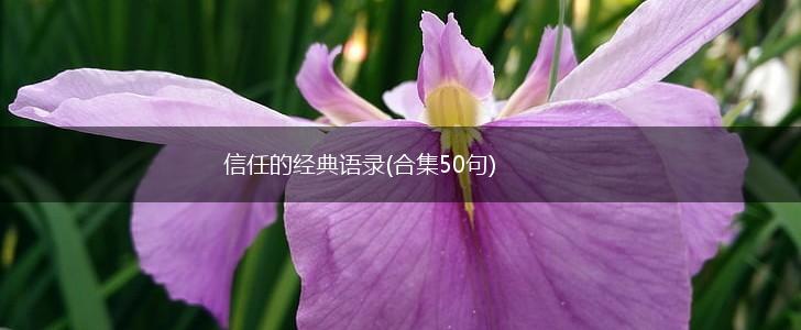 信任的经典语录(合集50句),第1张