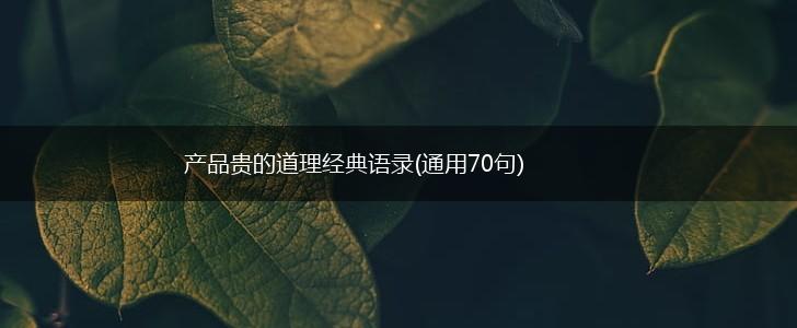 产品贵的道理经典语录(通用70句),第1张