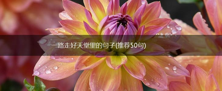 一路走好天堂里的句子(推荐50句),第1张
