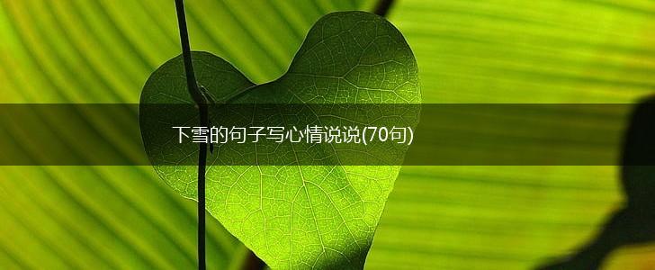 下雪的句子写心情说说(70句),第1张