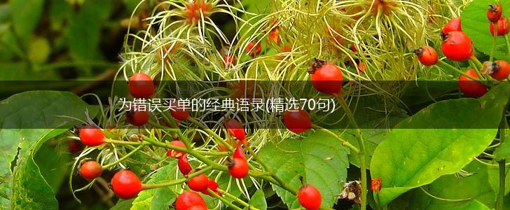 为错误买单的经典语录(精选70句),第1张