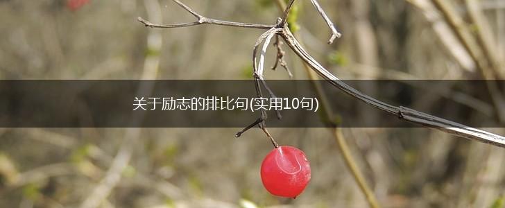关于励志的排比句(实用10句),第1张