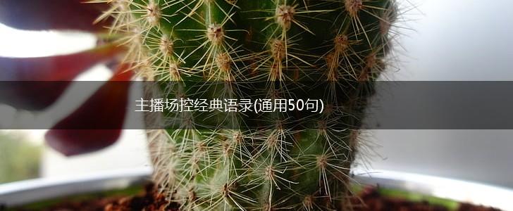 主播场控经典语录(通用50句),第1张