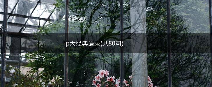 p大经典语录(共80句),第1张