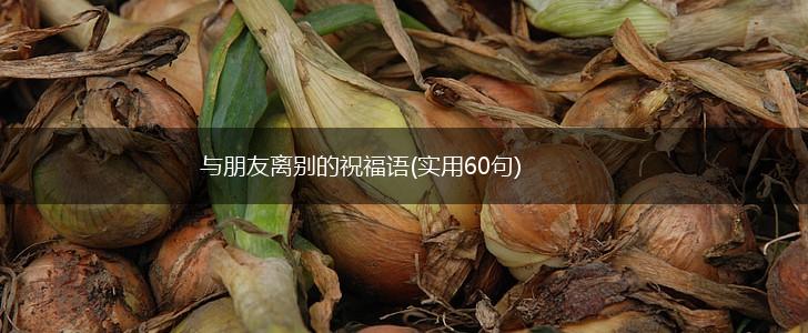 与朋友离别的祝福语(实用60句),第1张