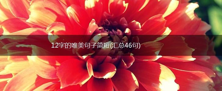 12字的唯美句子简短(汇总46句),第1张