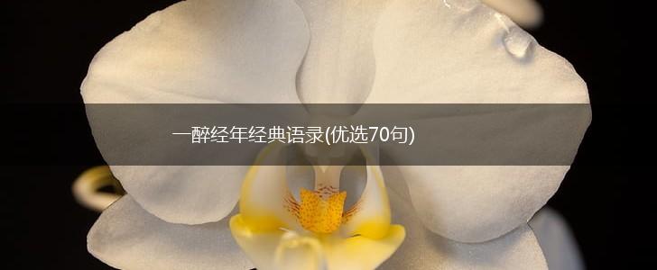一醉经年经典语录(优选70句),第1张