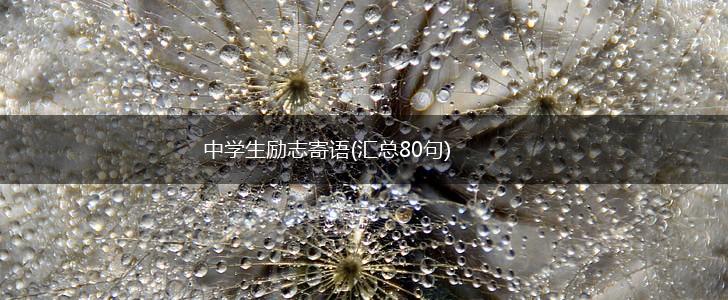 中学生励志寄语(汇总80句),第1张