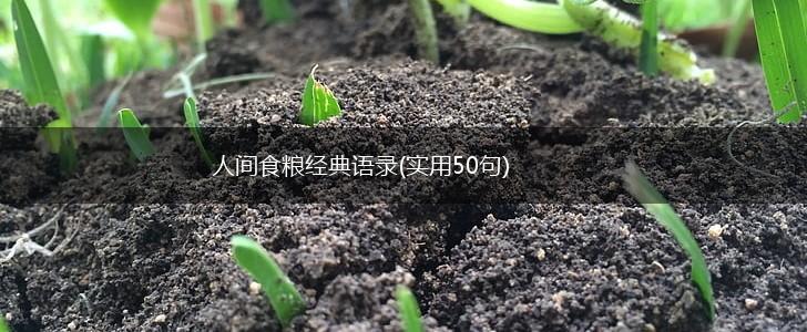 人间食粮经典语录(实用50句),第1张