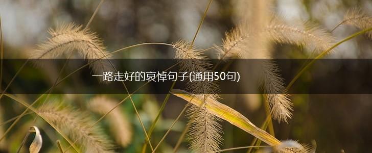 一路走好的哀悼句子(通用50句),第1张