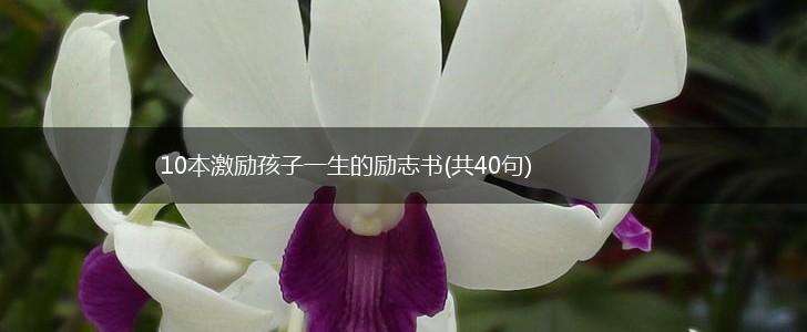 10本激励孩子一生的励志书(共40句),第1张