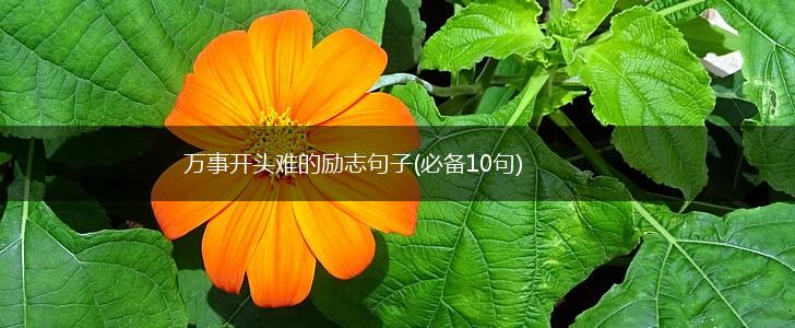 万事开头难的励志句子(必备10句),第1张
