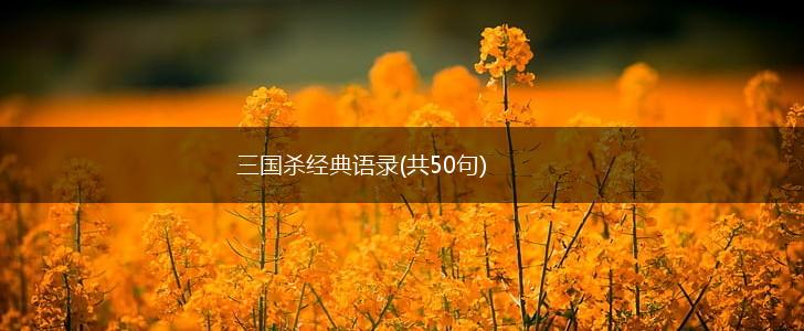三国杀经典语录(共50句),第1张