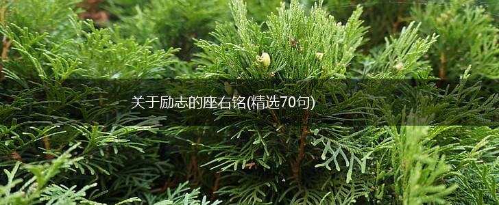 关于励志的座右铭(精选70句),第1张