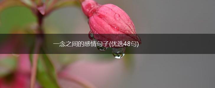 一念之间的感情句子(优选48句),第1张