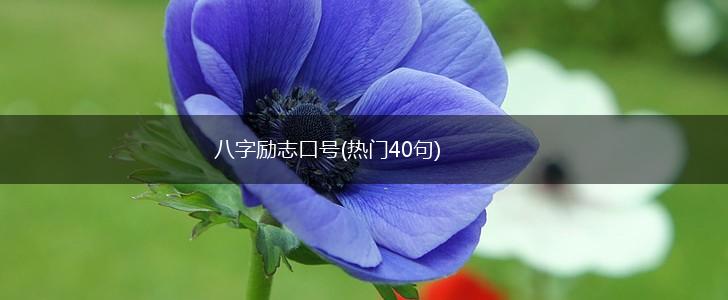 八字励志口号(热门40句),第1张