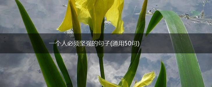一个人必须坚强的句子(通用50句),第1张