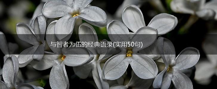 与智者为伍的经典语录(实用50句),第1张