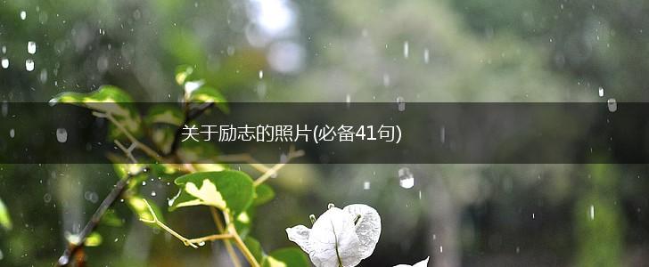 关于励志的照片(必备41句),第1张