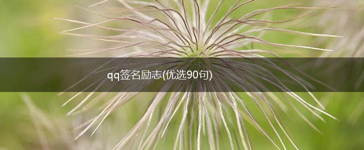 qq签名励志(优选90句),第1张