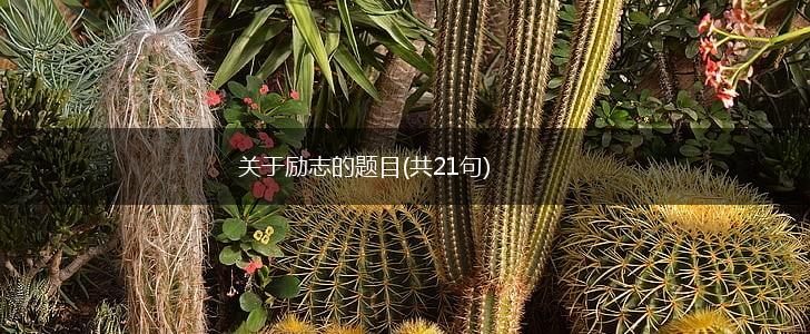 关于励志的题目(共21句),第1张