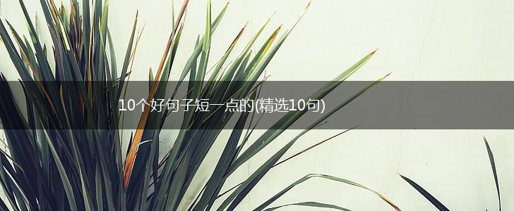 10个好句子短一点的(精选10句),第1张